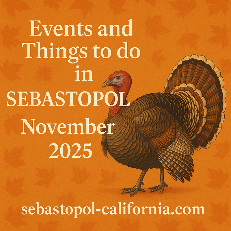 Read more about the article Events and Things to do in Sebastopol CA November 2025